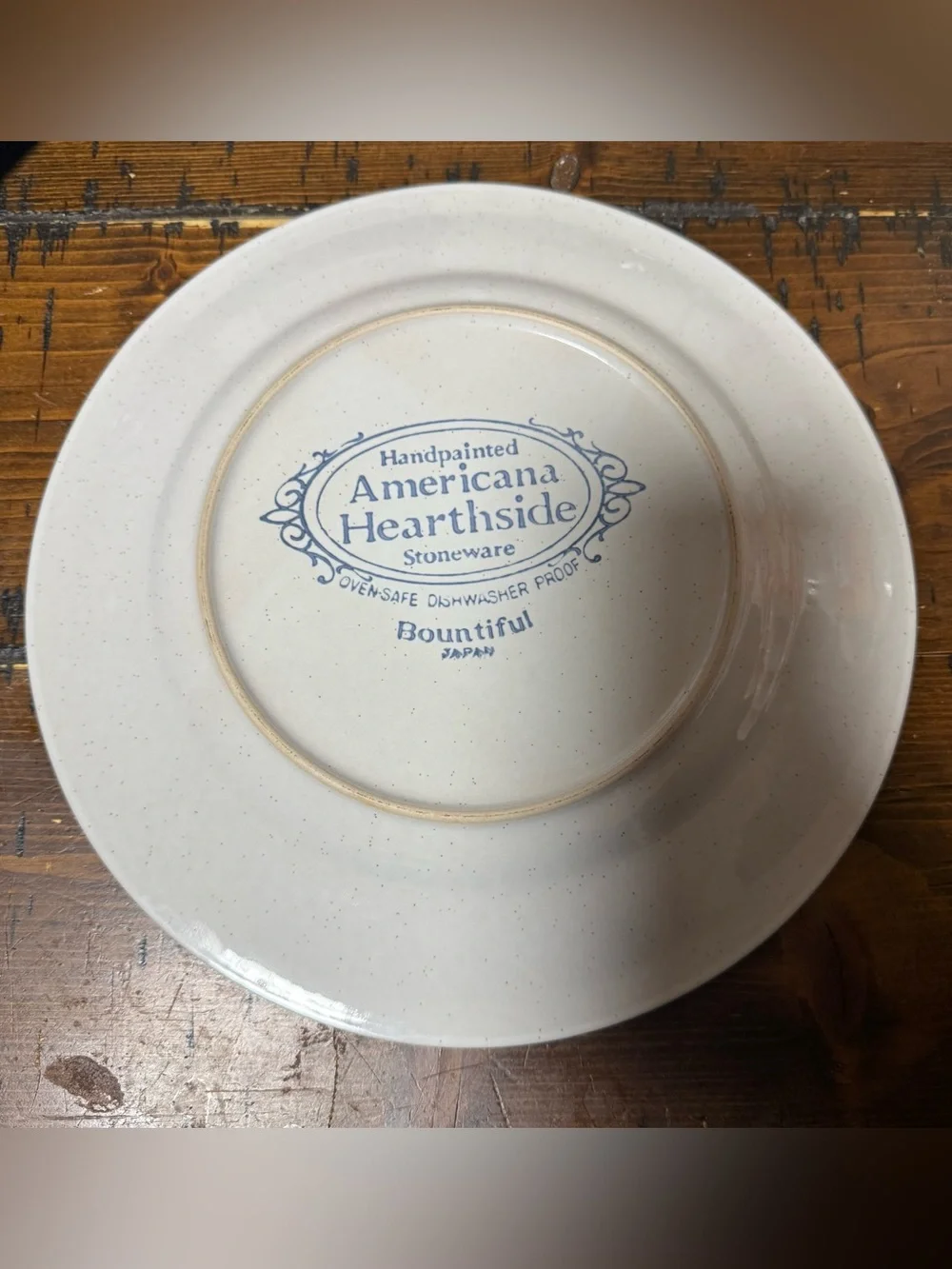 6 Vintage Hearthside Bountiful Stoneware Dinner Plates - Hand Painted Japan